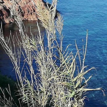 Appartamento Terra Sinus le Conchiglie Terrasini Esterno foto